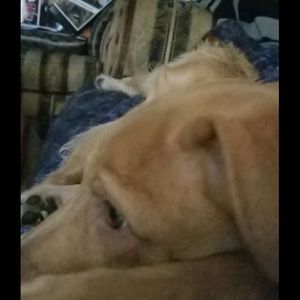 Meet your Posher, Chloe